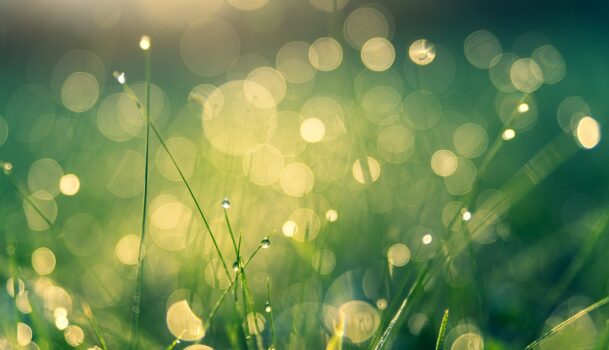 Usmeritev za torek 17. junij