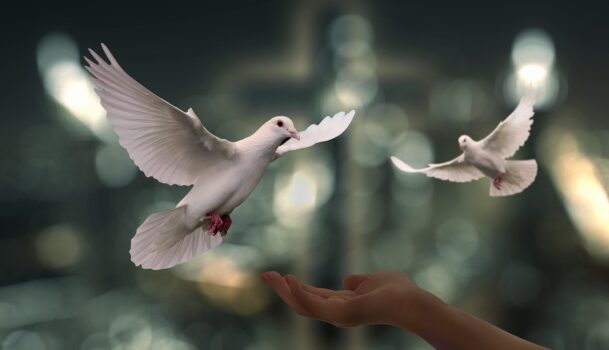 Usmeritev za soboto 5. julij